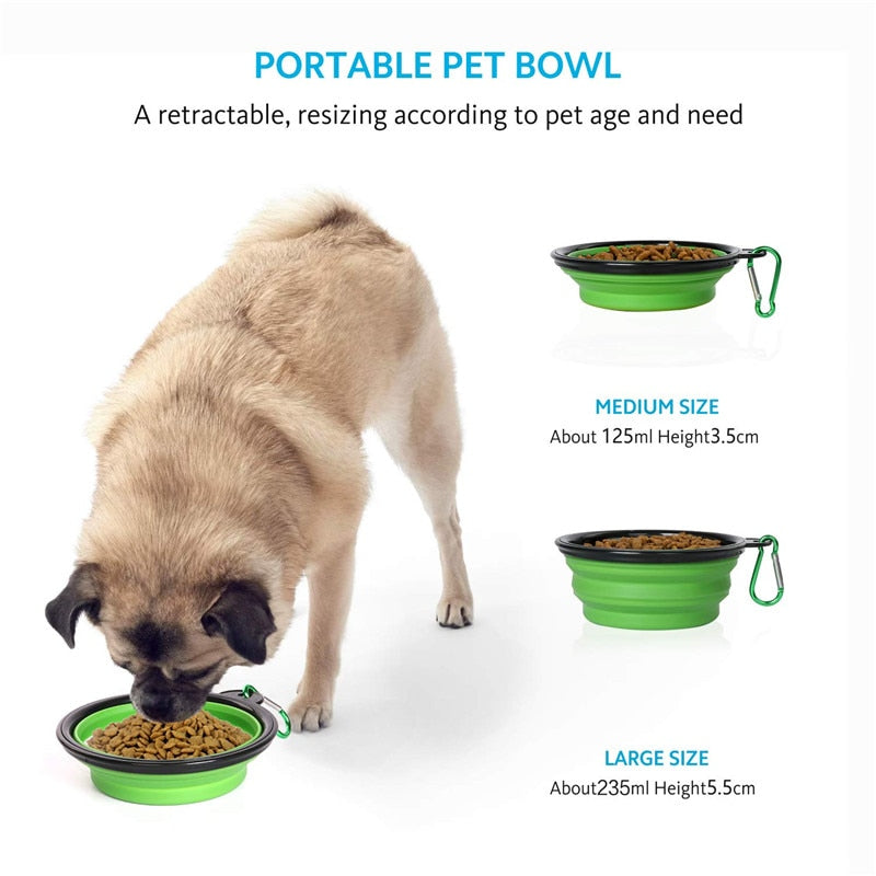 Alimentador de Pets